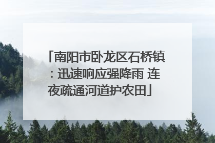 南阳市卧龙区石桥镇：迅速响应强降雨 连夜疏通河道护农田