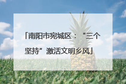 南阳市宛城区：“三个坚持”激活文明乡风