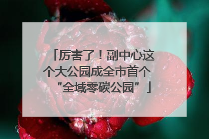 厉害了！副中心这个大公园成全市首个“全域零碳公园”