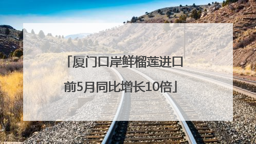 厦门口岸鲜榴莲进口 前5月同比增长10倍