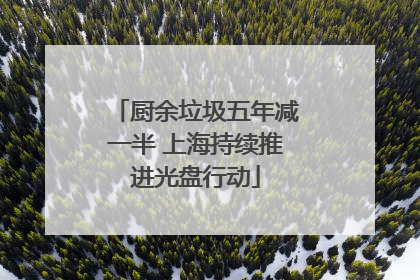 厨余垃圾五年减一半 上海持续推进光盘行动