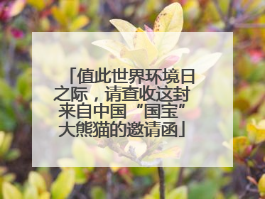 值此世界环境日之际，请查收这封来自中国“国宝”大熊猫的邀请函