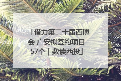 借力第二十届西博会 广安拟签约项目57个｜数读西投