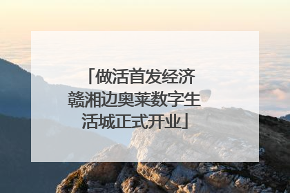 做活首发经济 赣湘边奥莱数字生活城正式开业