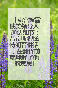 克宫披露俄美领导人通话细节：普京听得懂特朗普讲话，在翻译前就理解了他的意思