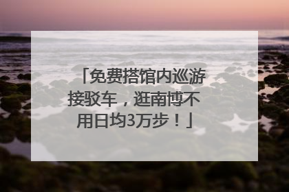 免费搭馆内巡游接驳车，逛南博不用日均3万步！