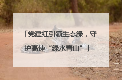 党建红引领生态绿，守护高速“绿水青山”