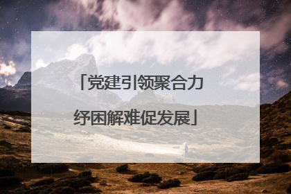 党建引领聚合力 纾困解难促发展