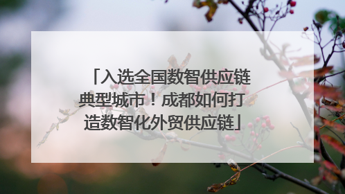 入选全国数智供应链典型城市！成都如何打造数智化外贸供应链