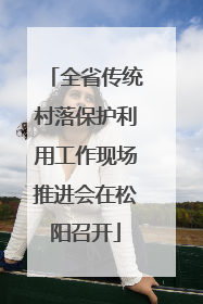 全省传统村落保护利用工作现场推进会在松阳召开