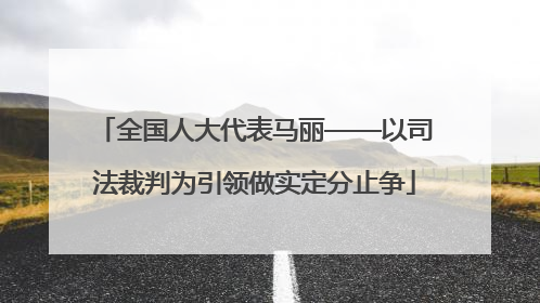 全国人大代表马丽——以司法裁判为引领做实定分止争