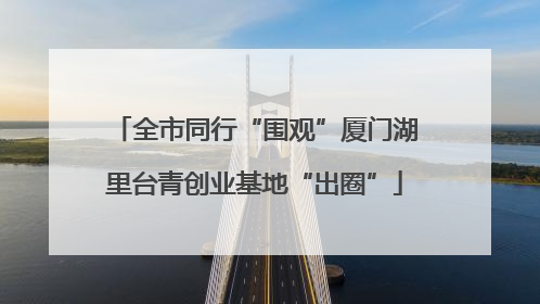 全市同行“围观”厦门湖里台青创业基地“出圈”
