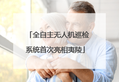 全自主无人机巡检系统首次亮相夷陵