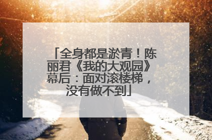 全身都是淤青！陈丽君《我的大观园》幕后：面对滚楼梯，没有做不到