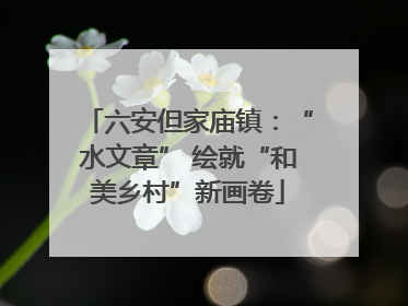 六安但家庙镇：“水文章” 绘就“和美乡村”新画卷