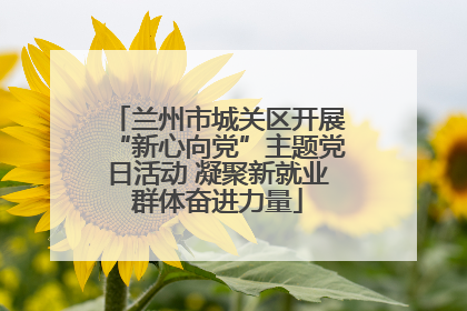 兰州市城关区开展“新心向党”主题党日活动 凝聚新就业群体奋进力量