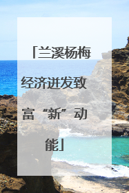 兰溪杨梅经济迸发致富“新”动能