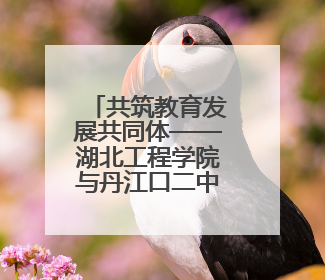 共筑教育发展共同体——湖北工程学院与丹江口二中教学交流活动持续推进