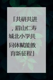 共研共进，眉山仁寿城北小学共同体赋能教育新征程
