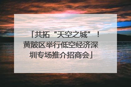 共拓“天空之城”！黄陂区举行低空经济深圳专场推介招商会