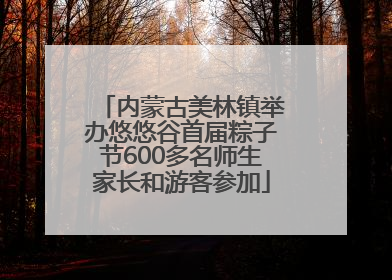 内蒙古美林镇举办悠悠谷首届粽子节600多名师生家长和游客参加