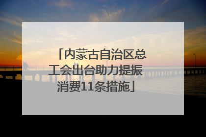 内蒙古自治区总工会出台助力提振消费11条措施