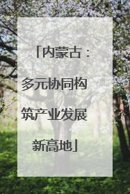 内蒙古：多元协同构筑产业发展新高地