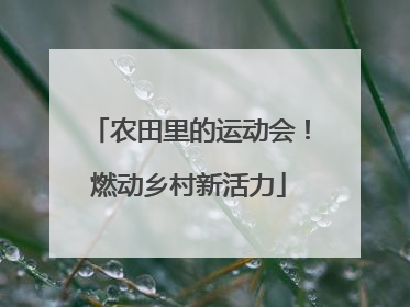 农田里的运动会！燃动乡村新活力