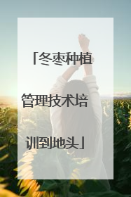 冬枣种植管理技术培训到地头