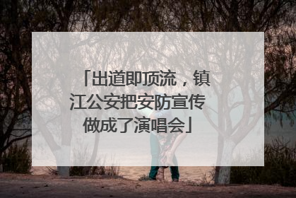 出道即顶流，镇江公安把安防宣传做成了演唱会