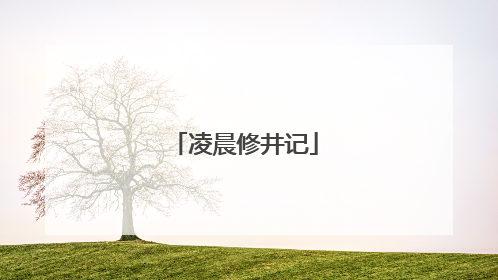 凌晨修井记