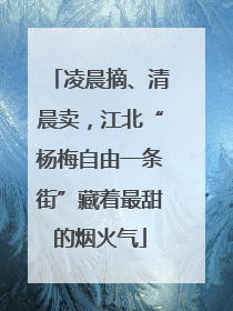 凌晨摘、清晨卖，江北“杨梅自由一条街”藏着最甜的烟火气