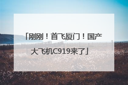 刚刚！首飞厦门！国产大飞机C919来了