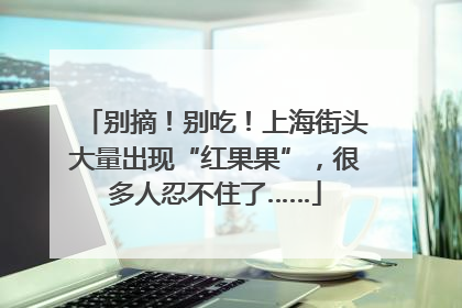 别摘！别吃！上海街头大量出现“红果果”，很多人忍不住了……