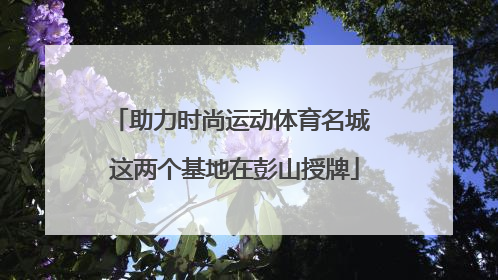 助力时尚运动体育名城 这两个基地在彭山授牌