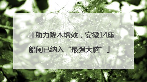 助力降本增效，安徽14座船闸已纳入“最强大脑”