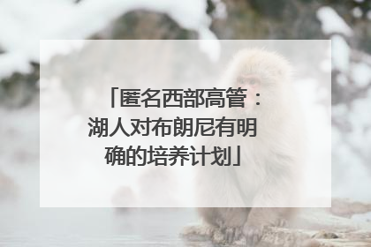 匿名西部高管：湖人对布朗尼有明确的培养计划
