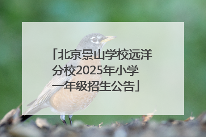 北京景山学校远洋分校2025年小学一年级招生公告