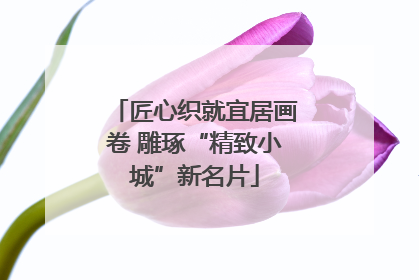 匠心织就宜居画卷 雕琢“精致小城”新名片