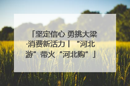 坚定信心 勇挑大梁·消费新活力丨“河北游”带火“河北购”