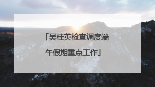 吴桂英检查调度端午假期重点工作