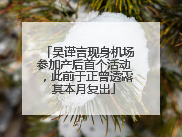吴谨言现身机场参加产后首个活动，此前于正曾透露其本月复出