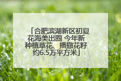 合肥滨湖新区初夏花海美出圈 今年新种植草花、播撒花籽约6.5万平方米
