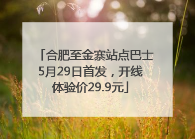 合肥至金寨站点巴士5月29日首发，开线体验价29.9元