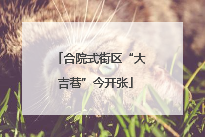 合院式街区“大吉巷”今开张