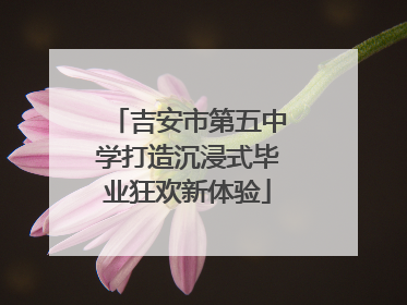 吉安市第五中学打造沉浸式毕业狂欢新体验