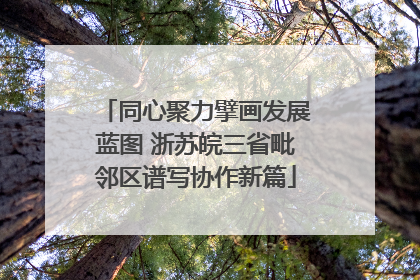 同心聚力擘画发展蓝图 浙苏皖三省毗邻区谱写协作新篇