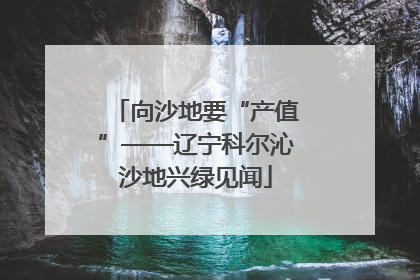 向沙地要“产值”——辽宁科尔沁沙地兴绿见闻