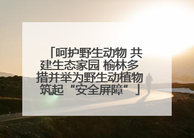 呵护野生动物 共建生态家园 榆林多措并举为野生动植物筑起“安全屏障”
