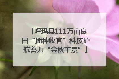 呼玛县111万亩良田“播种收官”科技护航蓄力“金秋丰景”